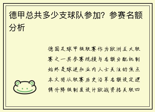 德甲总共多少支球队参加？参赛名额分析